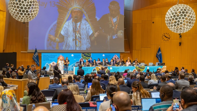 WIPO diplomātiskā konference