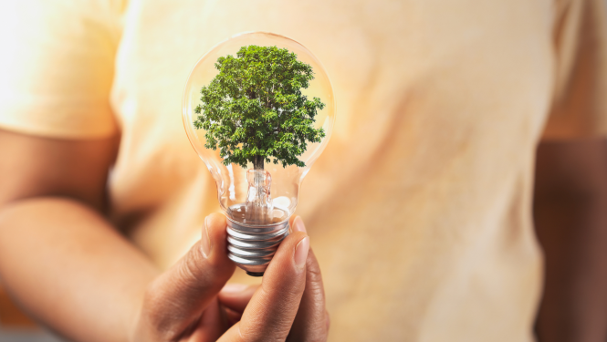 Investīcijas nematerālajā dizainā