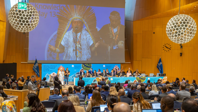 WIPO diplomātiskā konference