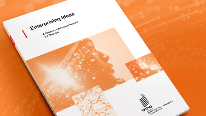 Pasaules Intelektuālā īpašuma organizācijas informācijas ceļveža attēls