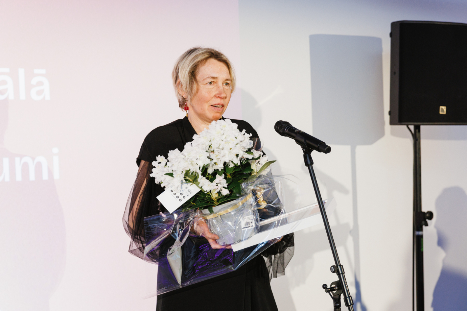 Latvijas Dizaineru savienības valdes locekle Č.Čable-Zibene