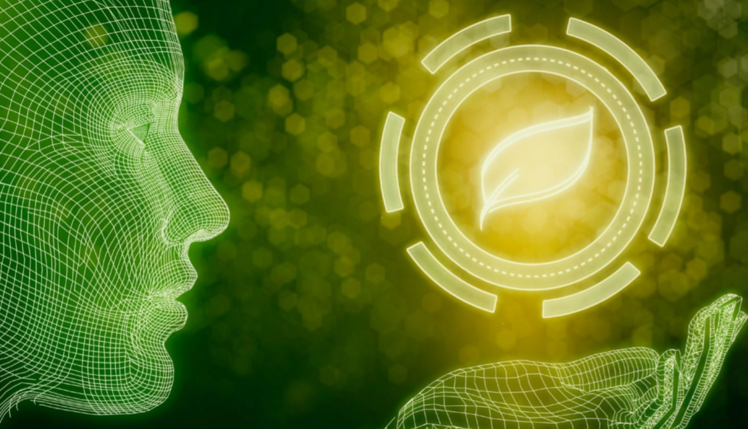 Banris rakstam zaļā krāsā